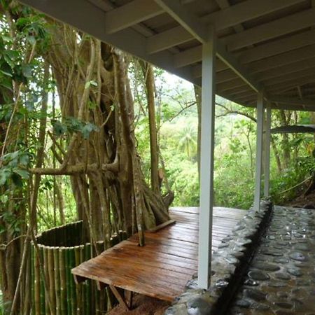 Citrus Creek Plantation Villa La Plaine Exteriör bild