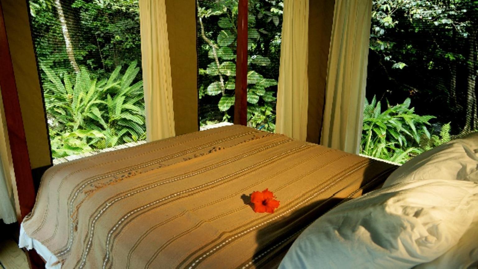 Citrus Creek Plantation Villa La Plaine Exteriör bild