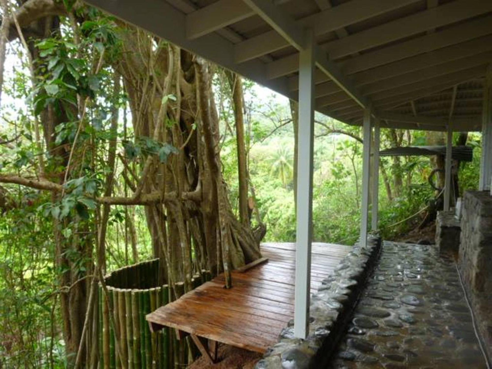 Citrus Creek Plantation Villa La Plaine Exteriör bild