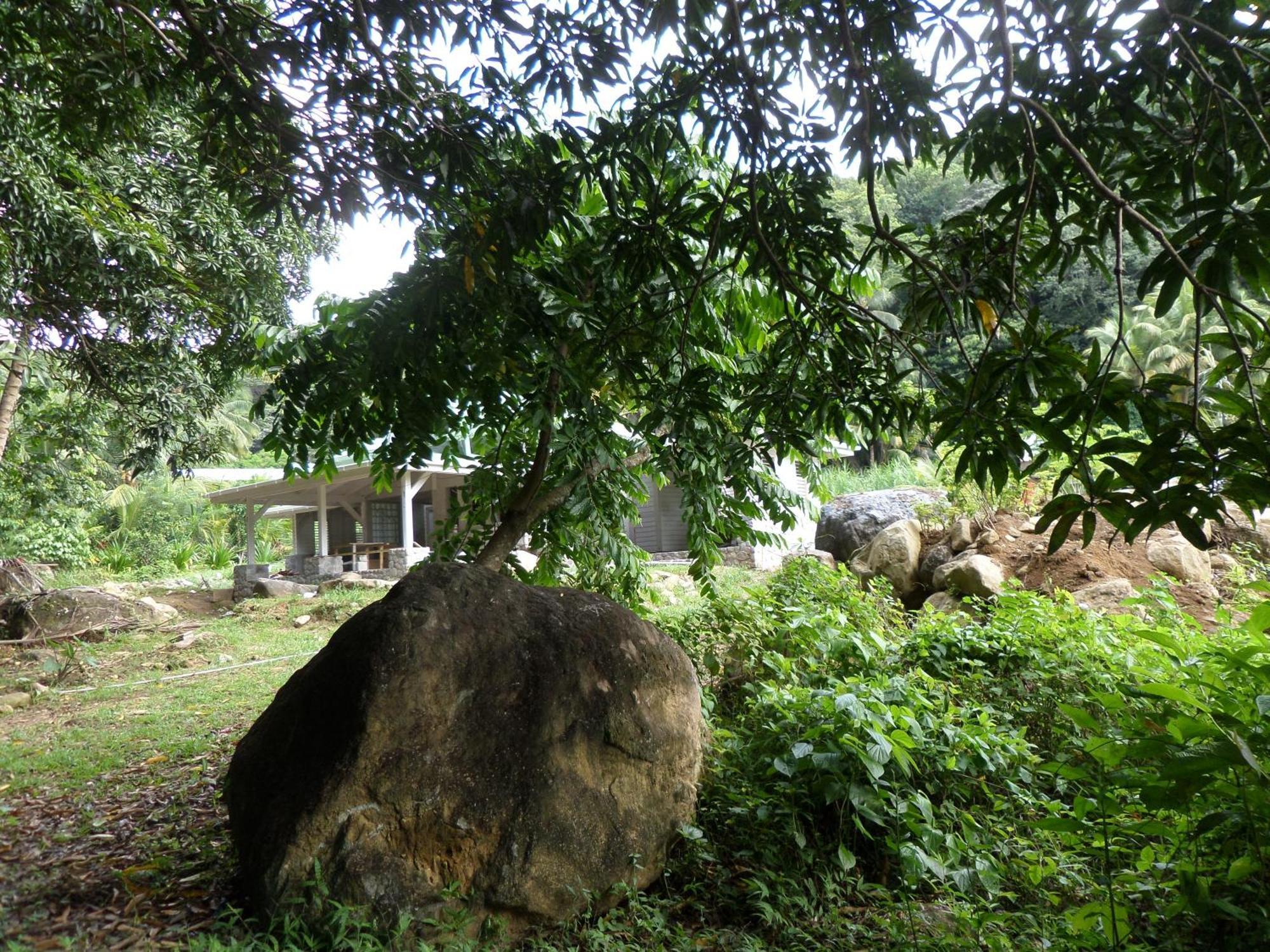 Citrus Creek Plantation Villa La Plaine Rum bild