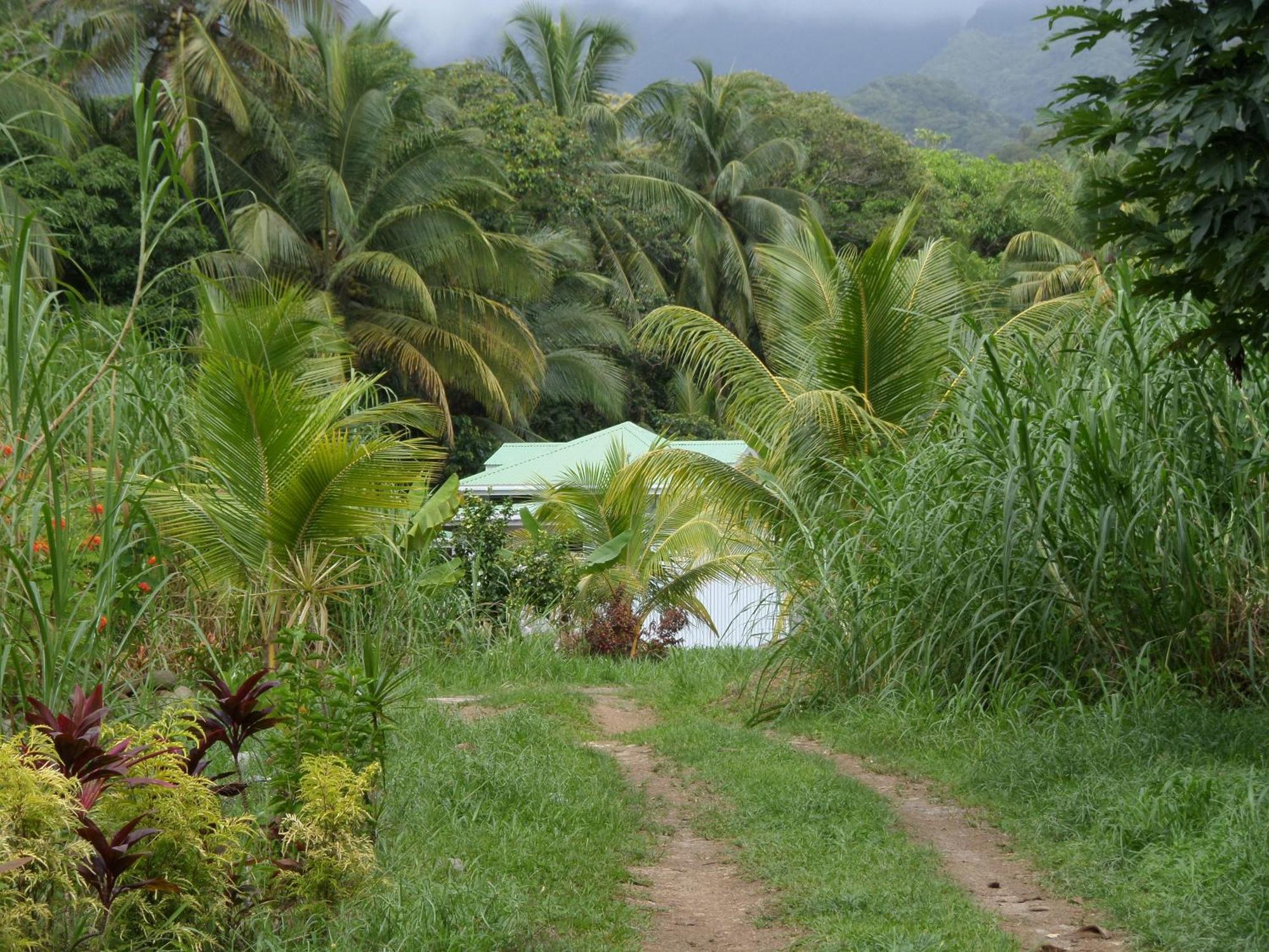 Citrus Creek Plantation Villa La Plaine Rum bild