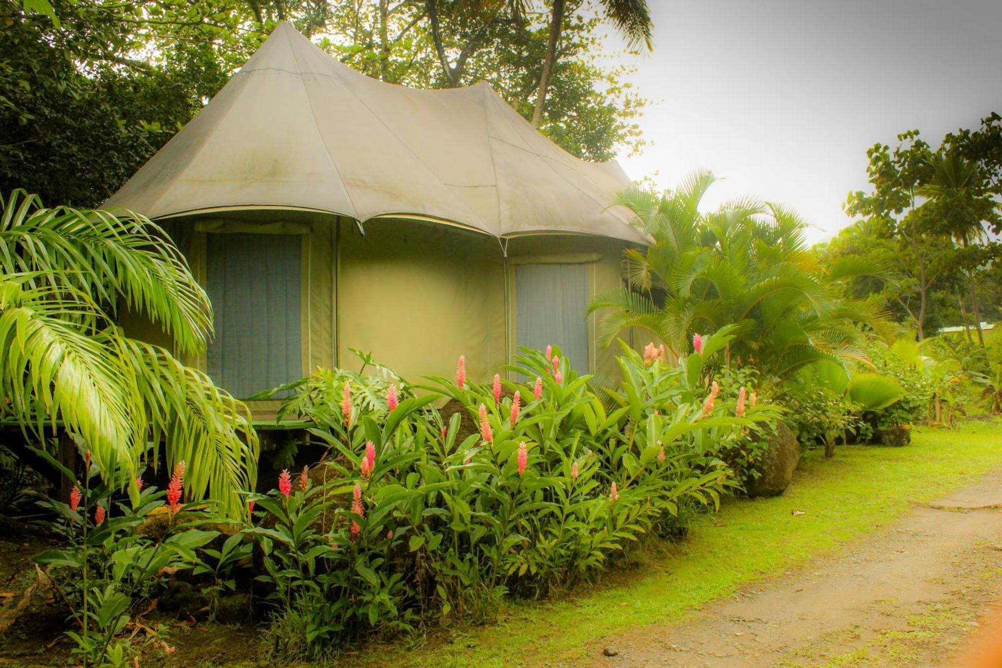 Citrus Creek Plantation Villa La Plaine Rum bild