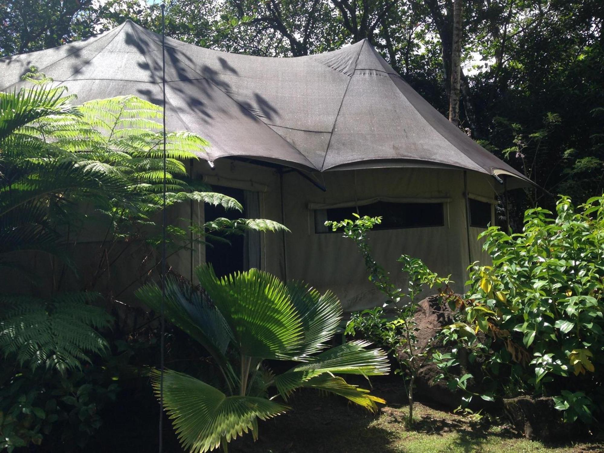 Citrus Creek Plantation Villa La Plaine Rum bild