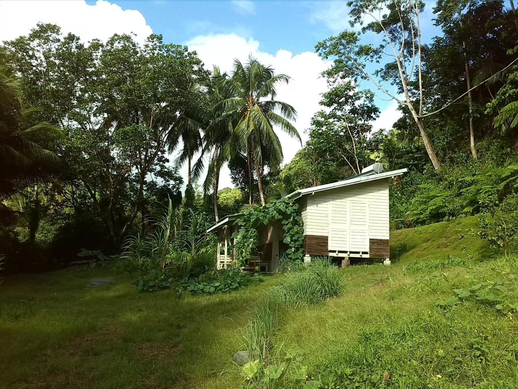 Citrus Creek Plantation Villa La Plaine Rum bild