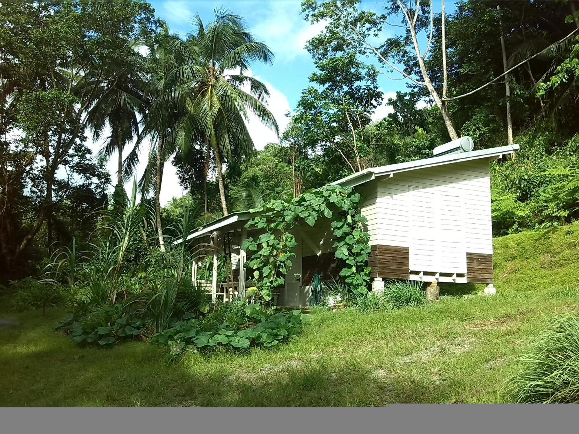 Citrus Creek Plantation Villa La Plaine Rum bild