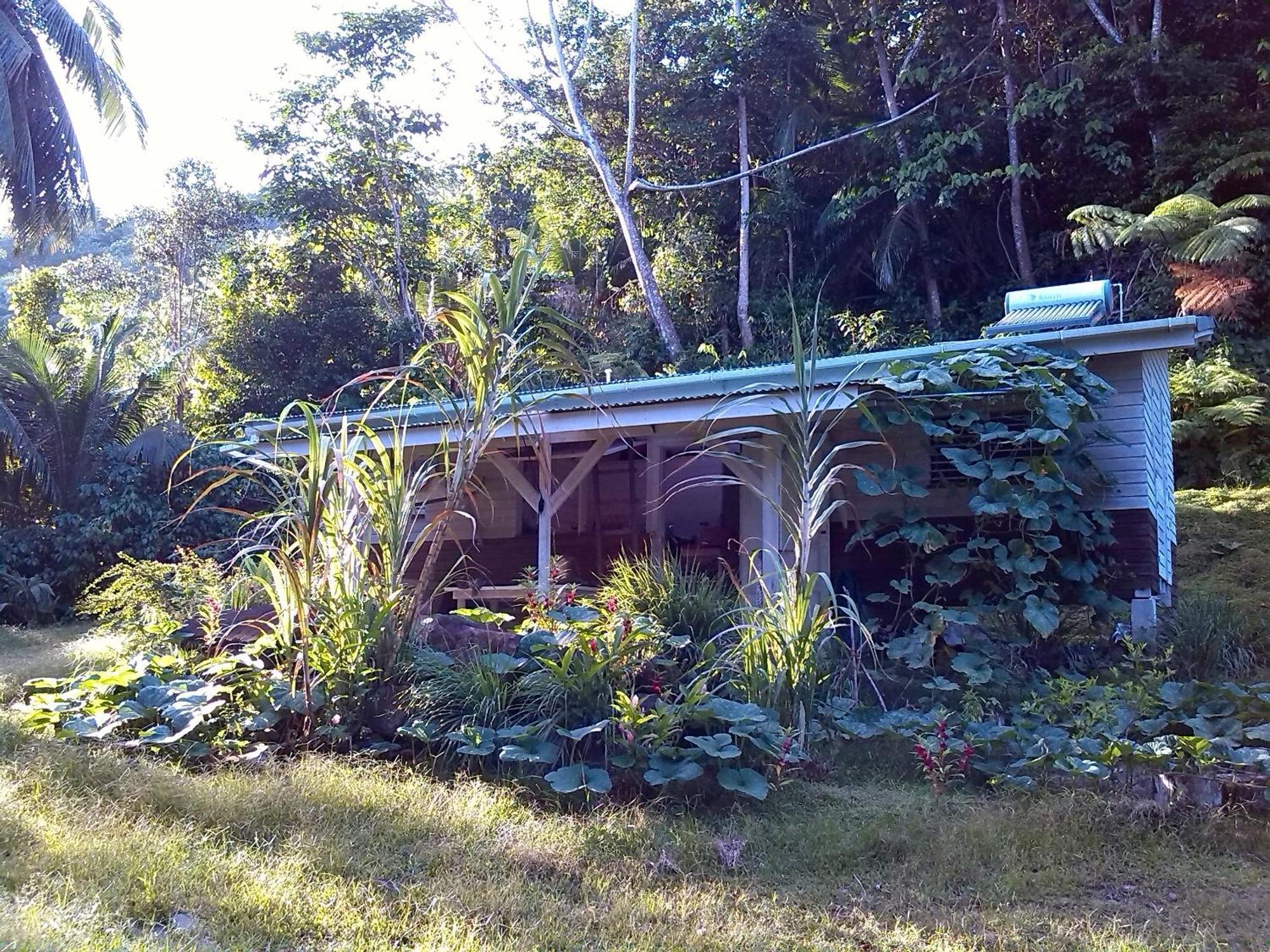 Citrus Creek Plantation Villa La Plaine Rum bild