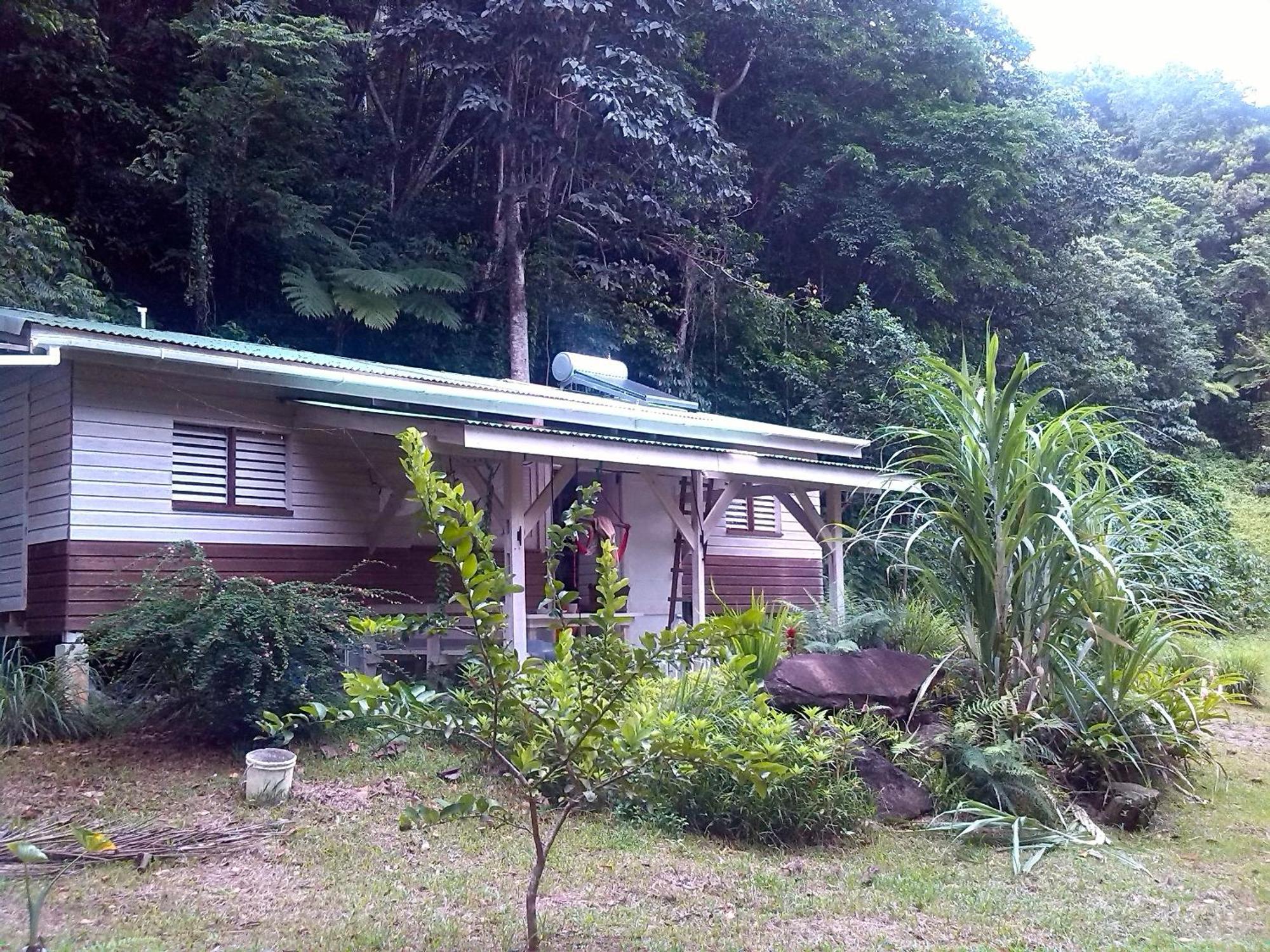 Citrus Creek Plantation Villa La Plaine Rum bild