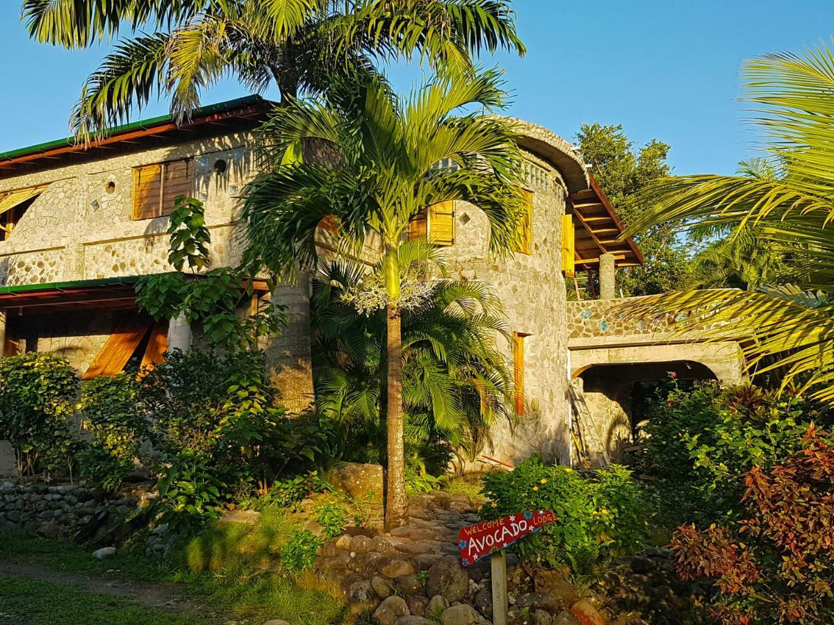 Citrus Creek Plantation Villa La Plaine Exteriör bild